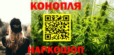 тгк Ставрополь