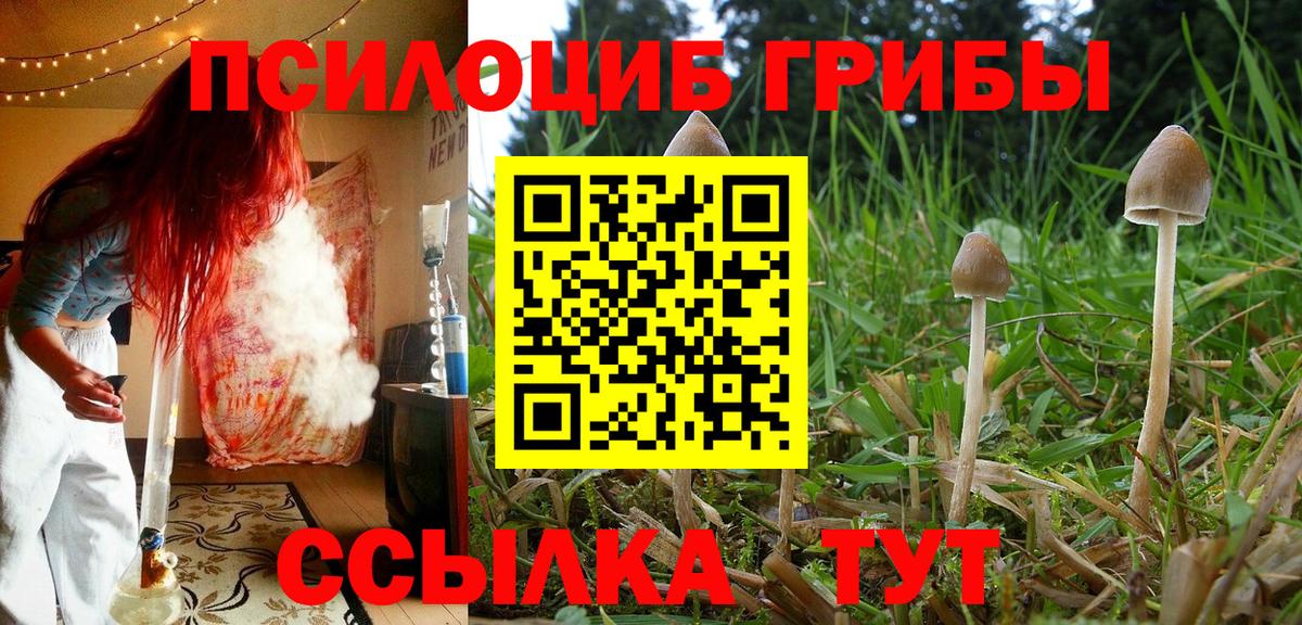 Ржев  Галлюциногенные грибы ЛСД  Вход с VPN  Псилоцибиновые грибы Psilocybine cubensis 