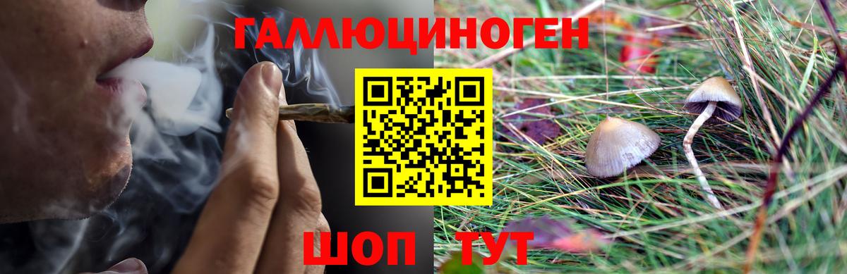 Галлюциногенные грибы мухоморы Ржев